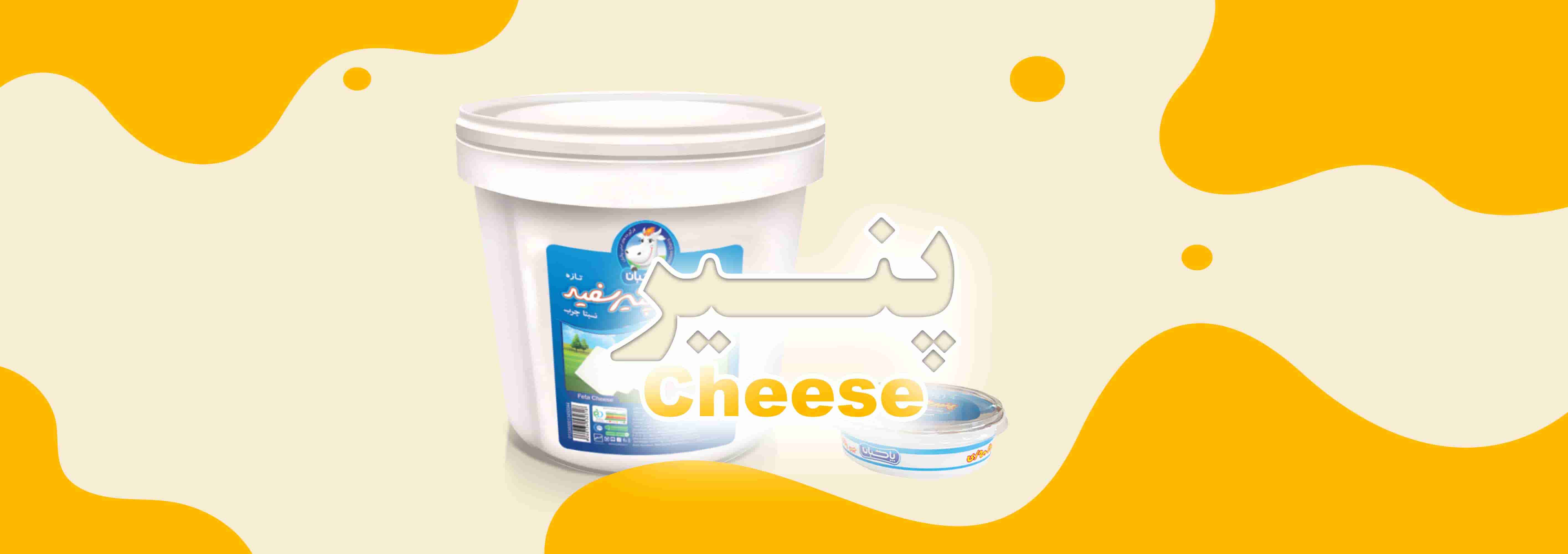 Pakban cheese